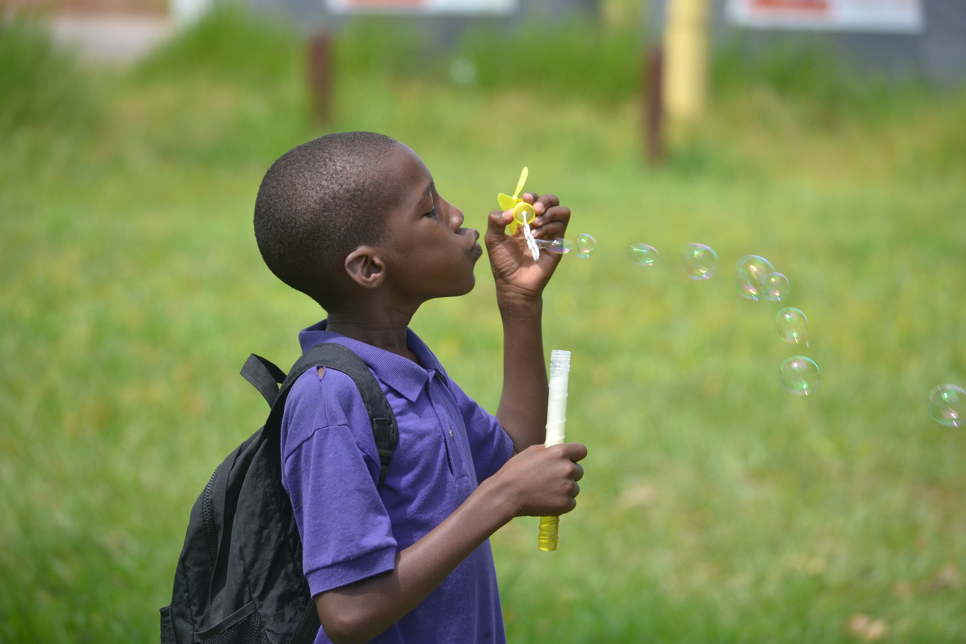 Spark Self-Directed Summer Learning