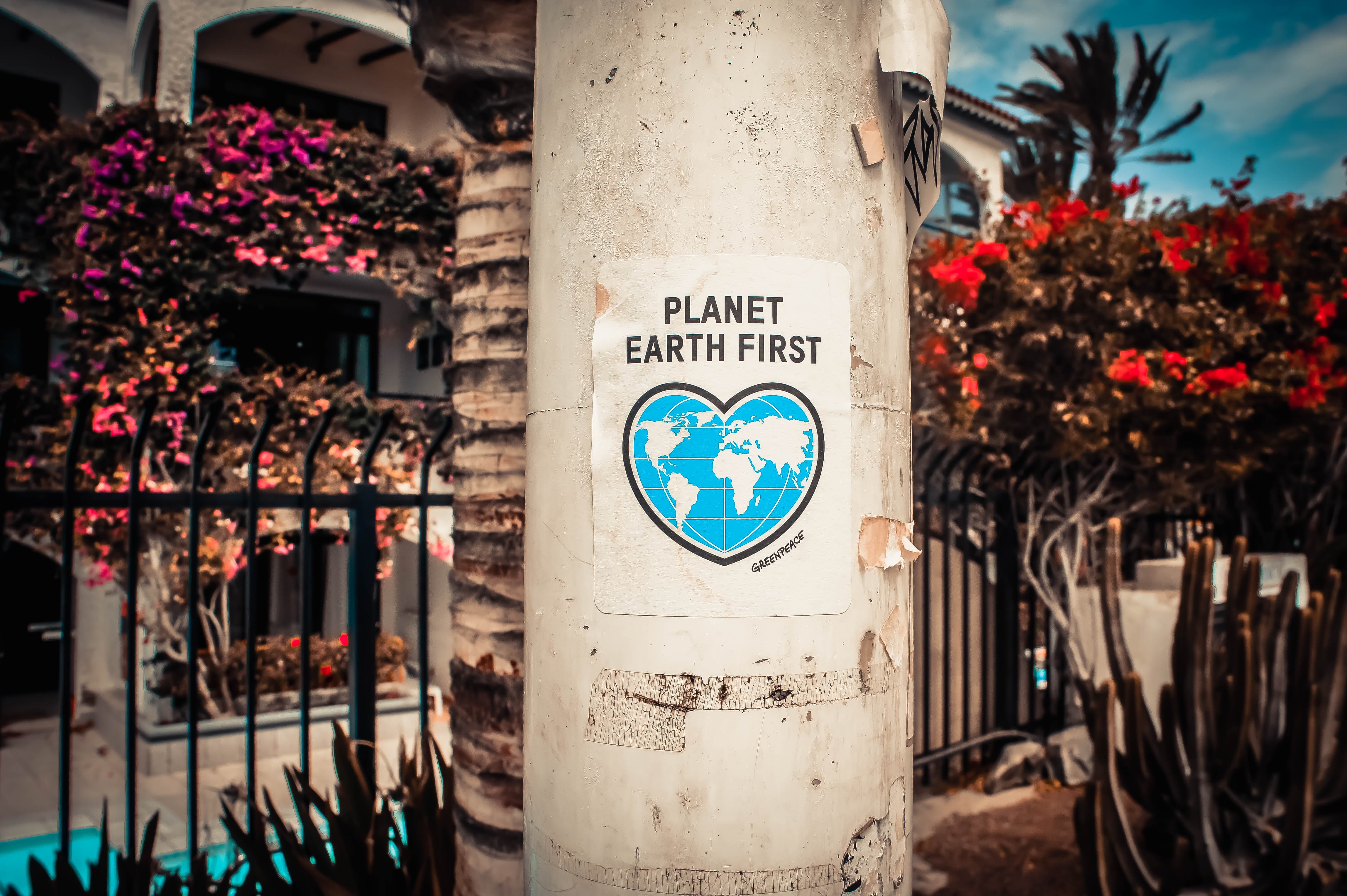 Environmental Justice & Green Spaces for Geography