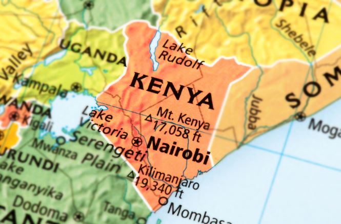 Wangari Maathai & Deforestation for Geography 