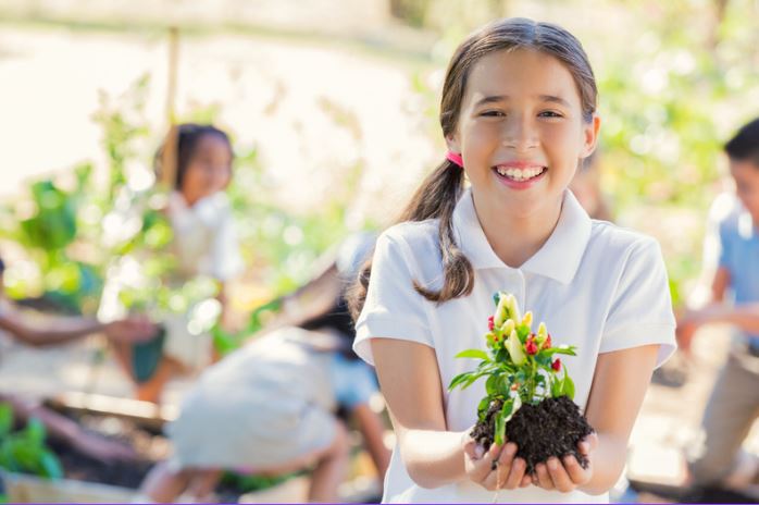 Green Spaces & Citizenship Letter Writing Activity