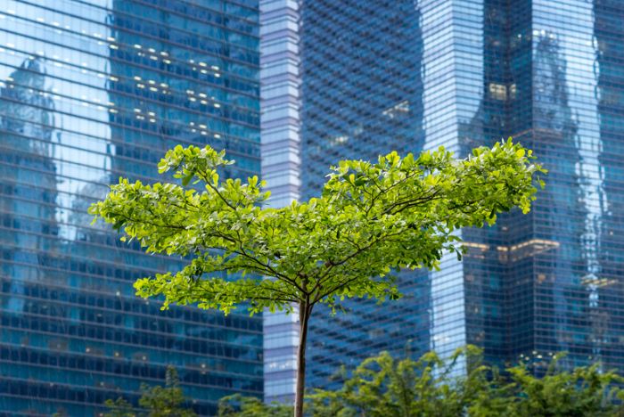 Environmental Justice & Green Spaces: SS & Geography