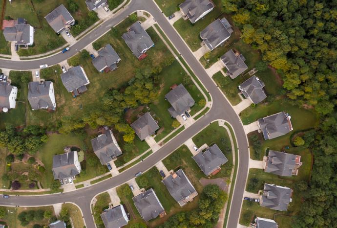 Urban Inequality & The Benefits of Tree Planting 
