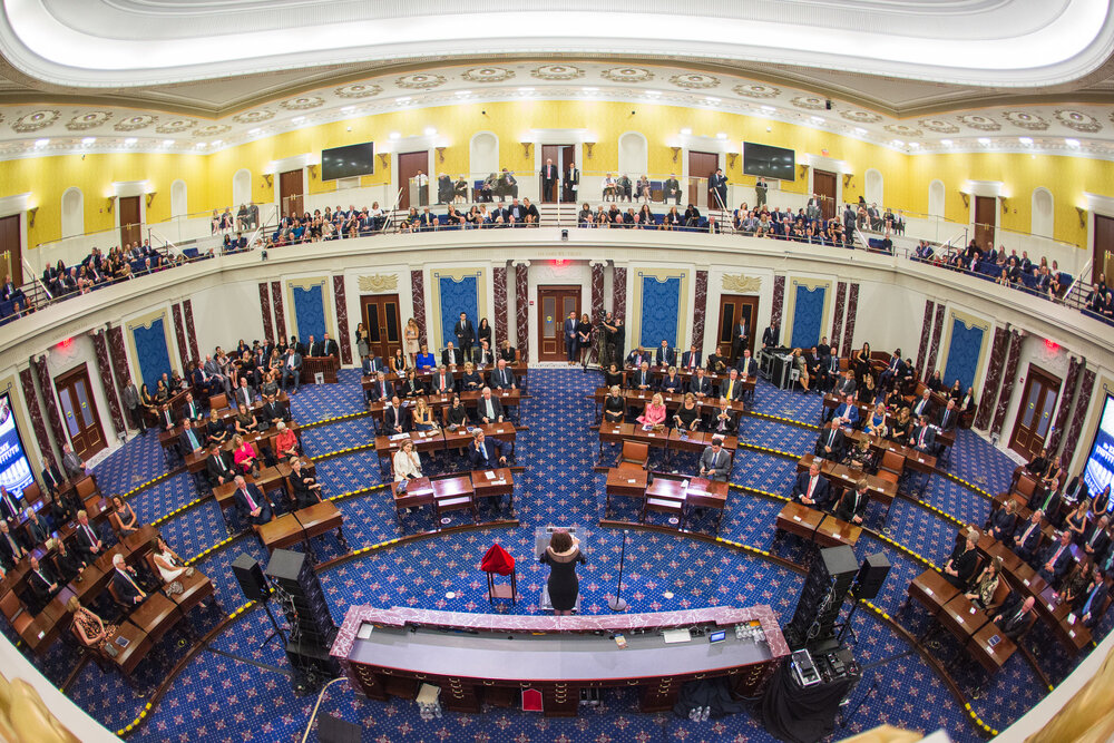 Civics and Government: Senate Decorum 