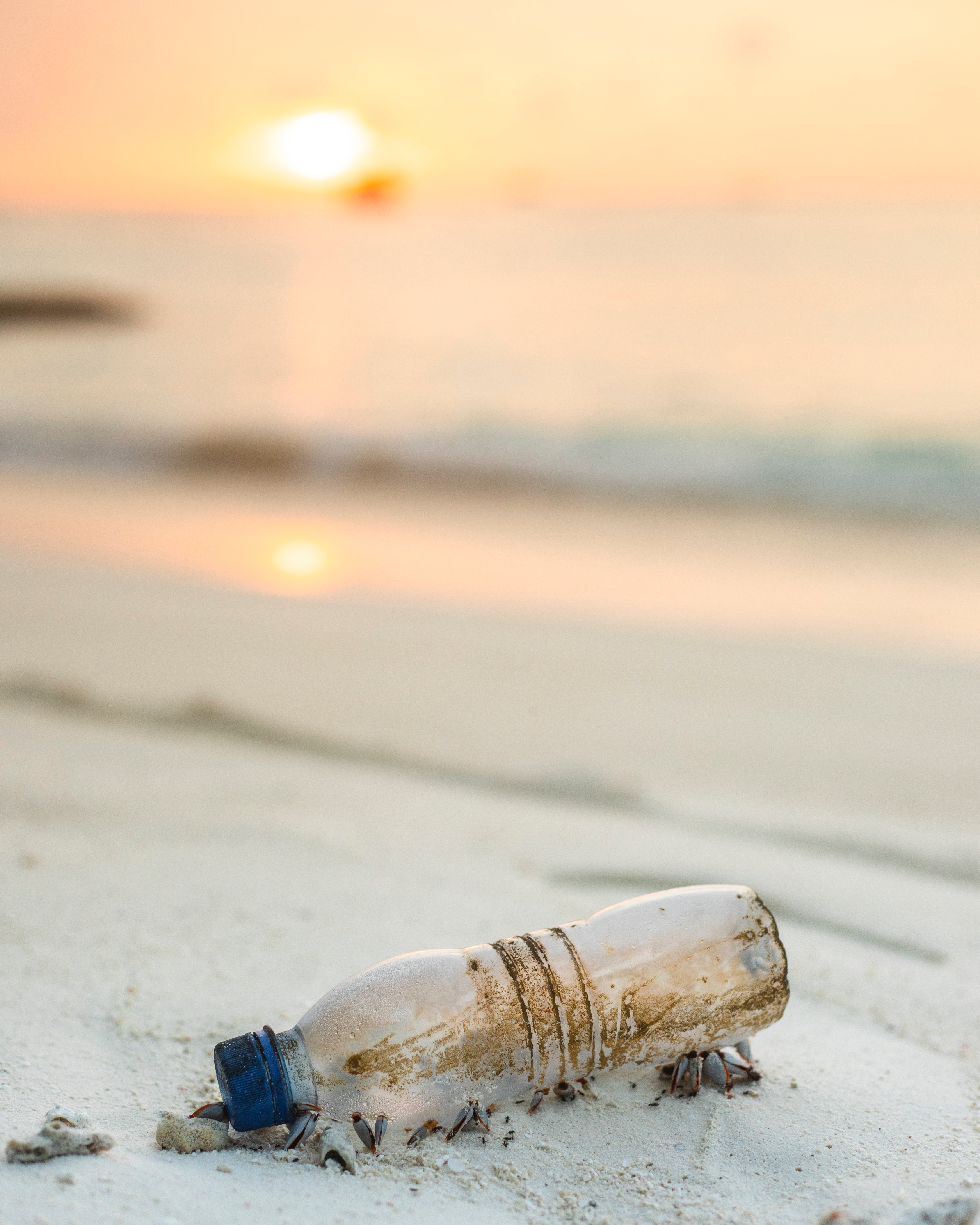 Spanish Lesson on Plastic & Climate Change 