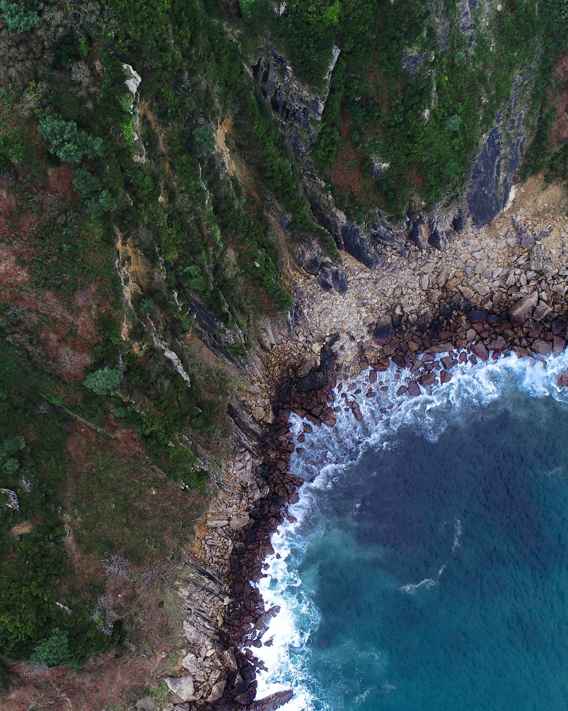 Protecting Natural Resources: Government & Media Literacy