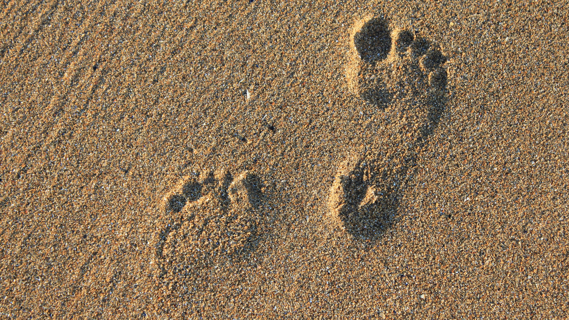 Arithmetic Operations & Calculating Your Carbon Footprint