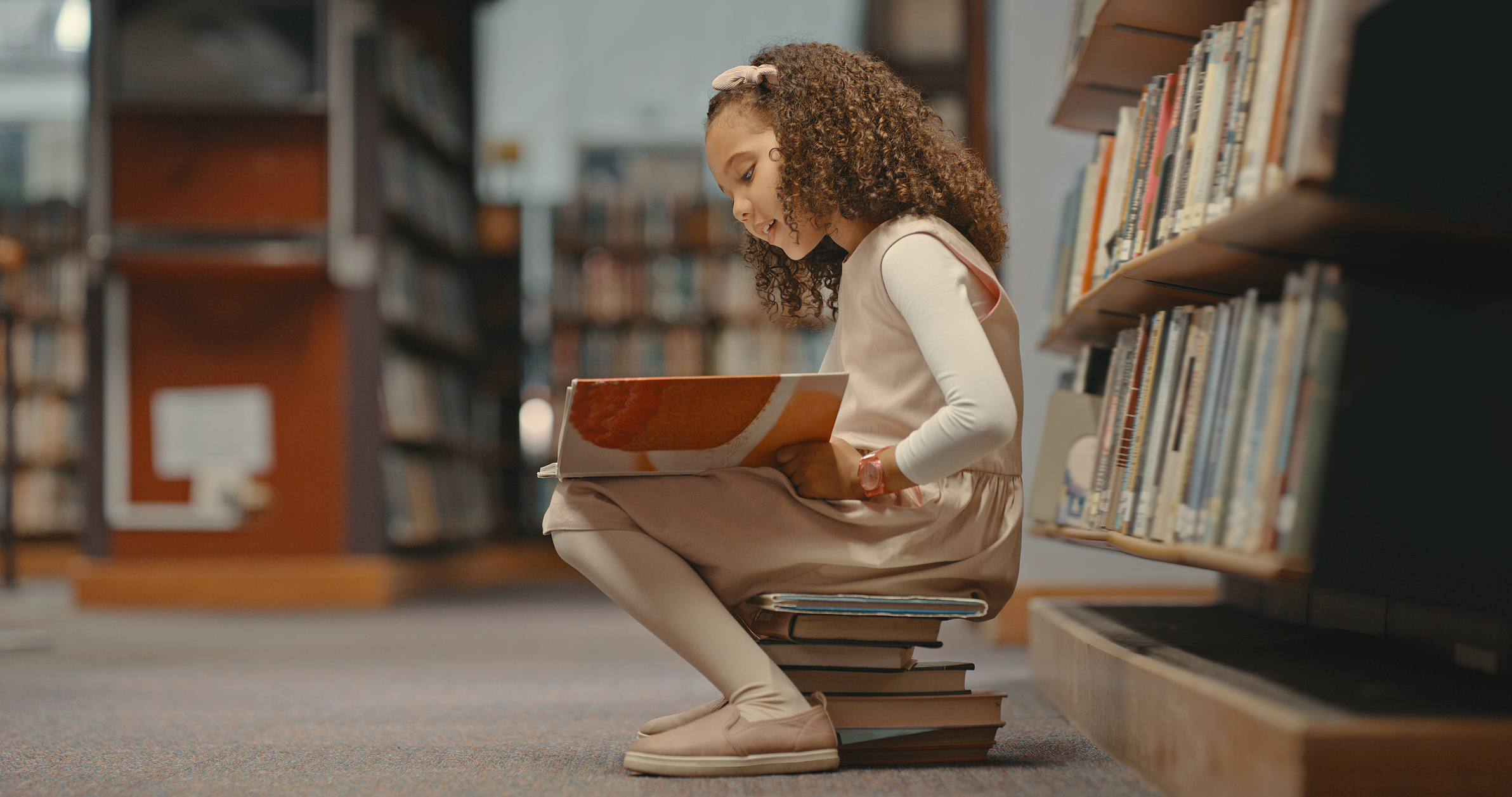 Materials to Organize a Leveled Classroom Library