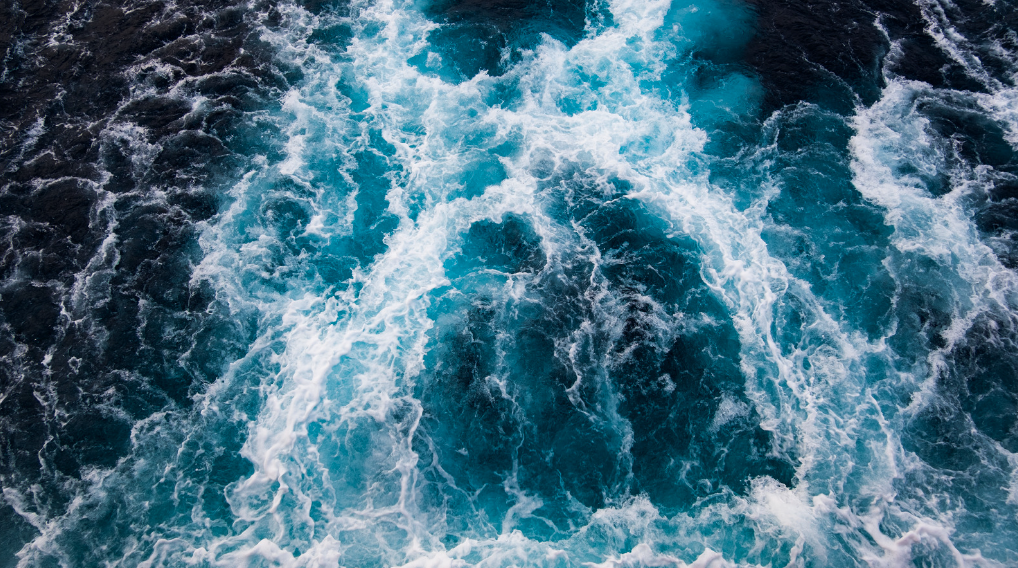 Hands-On Ocean Ecosystem Experiment 