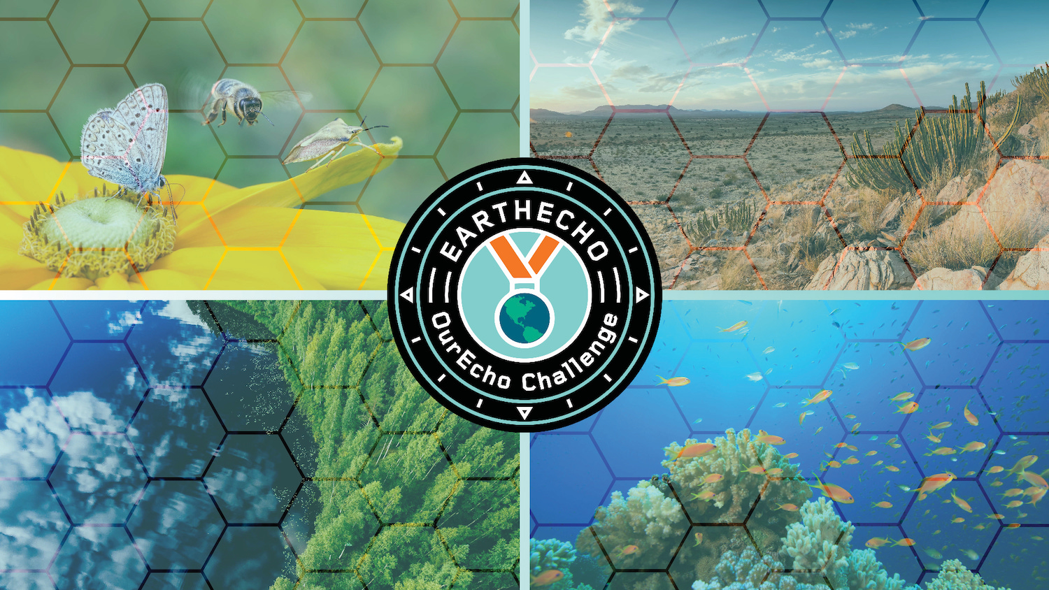 Biodiversity Basics and OurEcho Challenge Contest Guide
