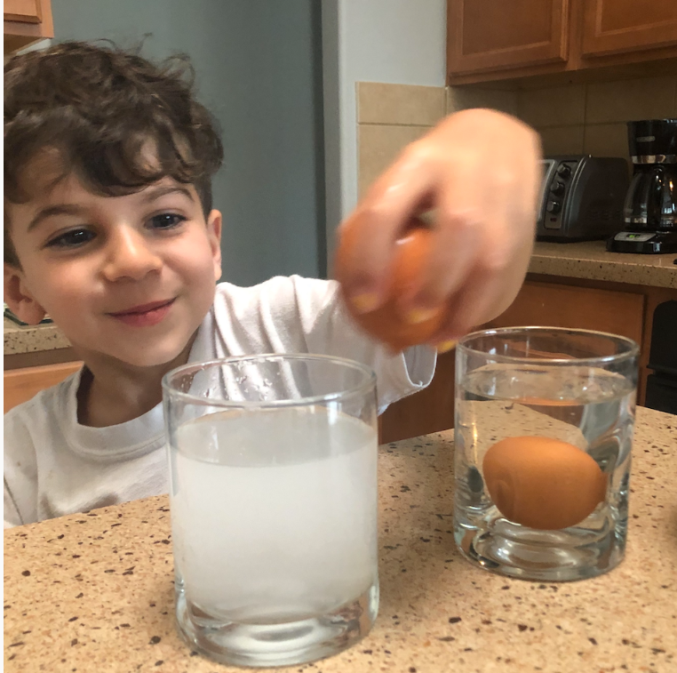 Salt Water Density Experiment