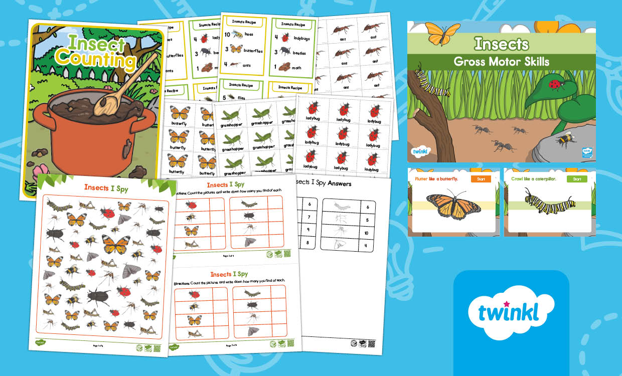 Insects Lesson Activity Pack for PK-K