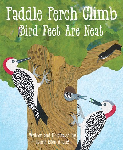 Paddle Perch Climb activity