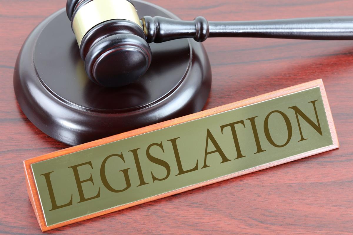 How a Bill Becomes a Law | Video & Worksheet