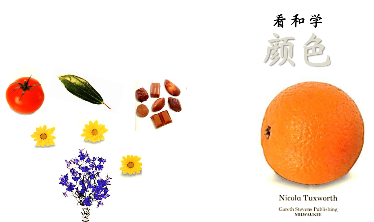Unit 8: Color 颜色