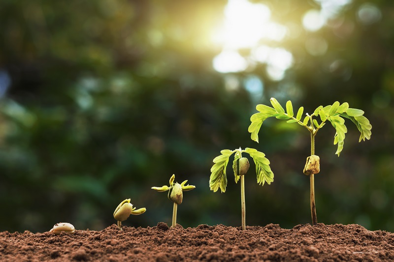 New learning strategies helping students grow and retain information.