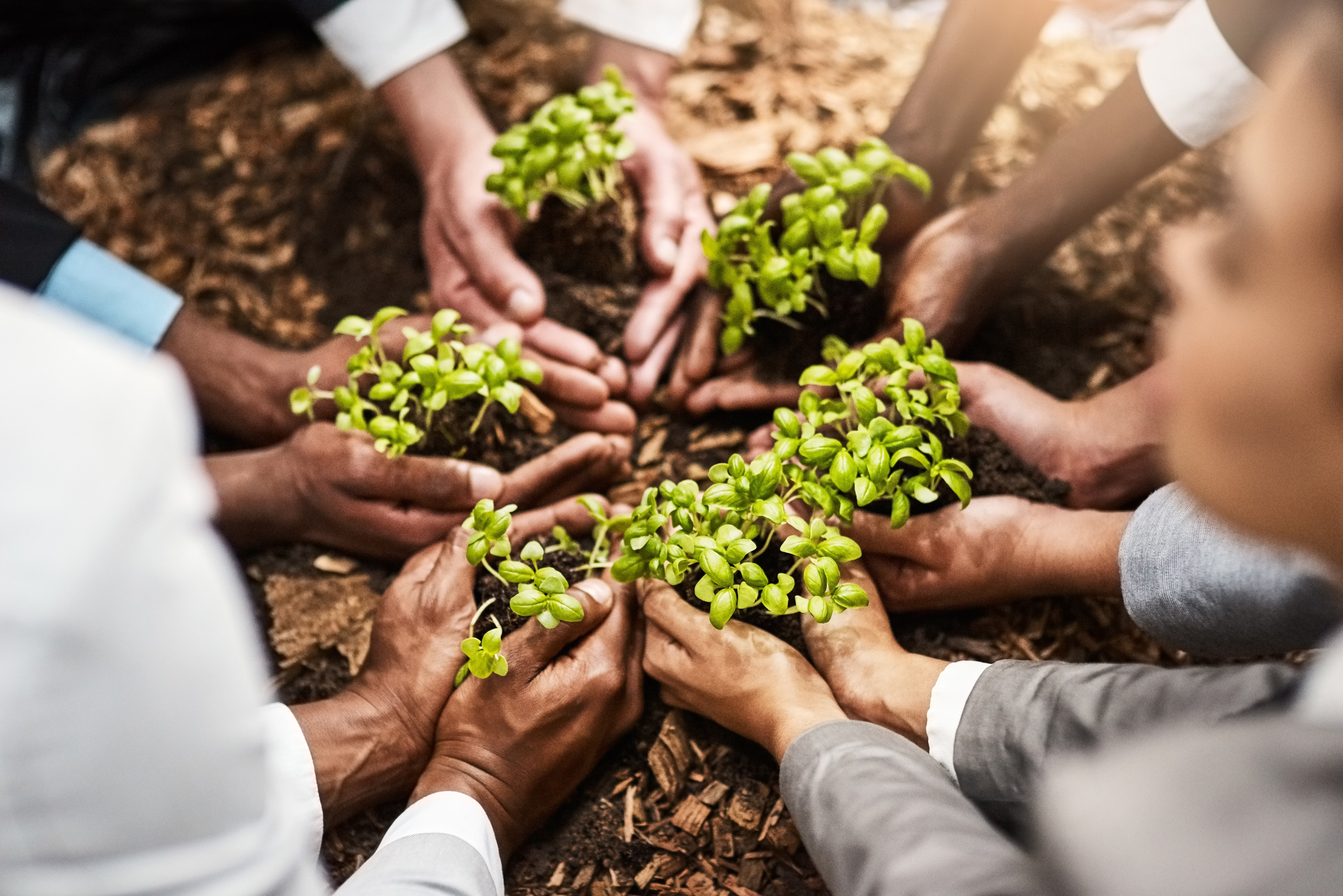 The Biofuels Story - Prezi