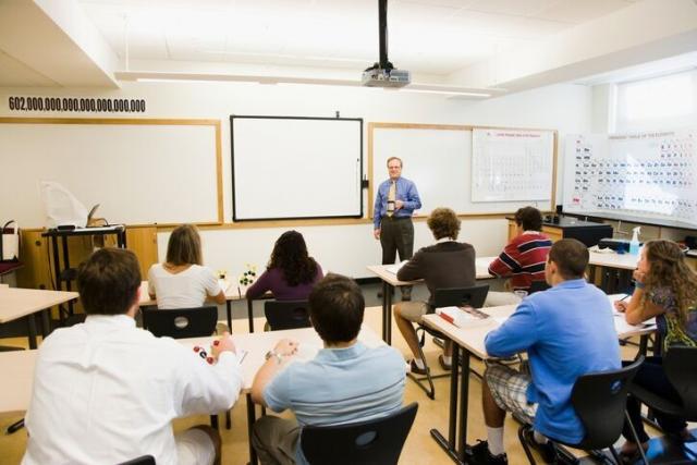 Research in Brain Function and Learning