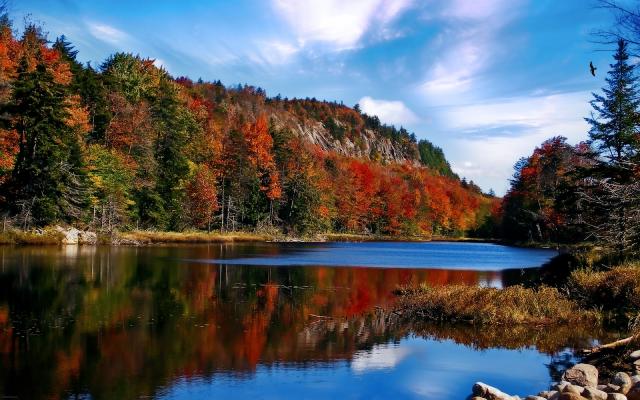 ADIRONDACKS:  FOREVER WILD?  