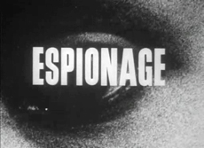 SPY SCHOOLS:  ACADEMIC ESPIONAGE