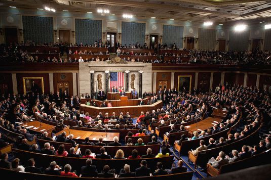 Congress in Times of Crisis