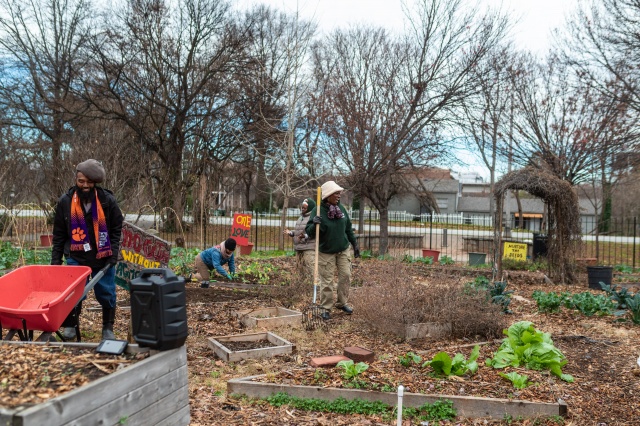 Garden Lesson Plan: Living Systems