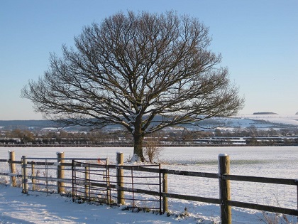 Winter PowerPoint