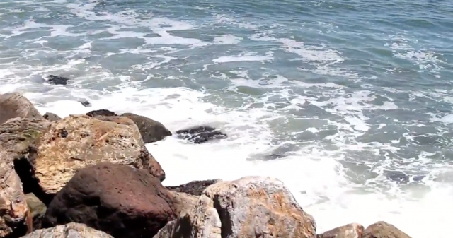 Bay Sea Level Rise