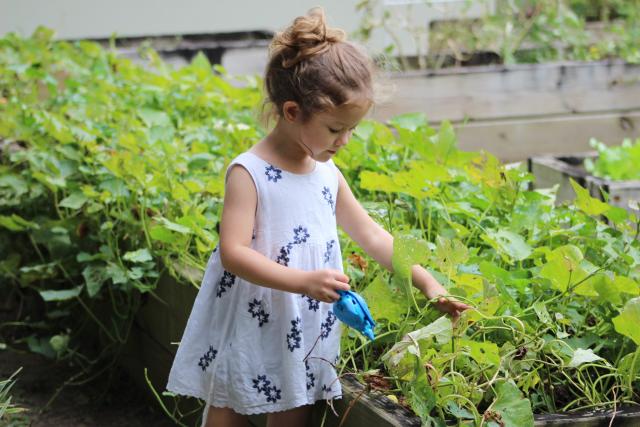 Making Green Fun!