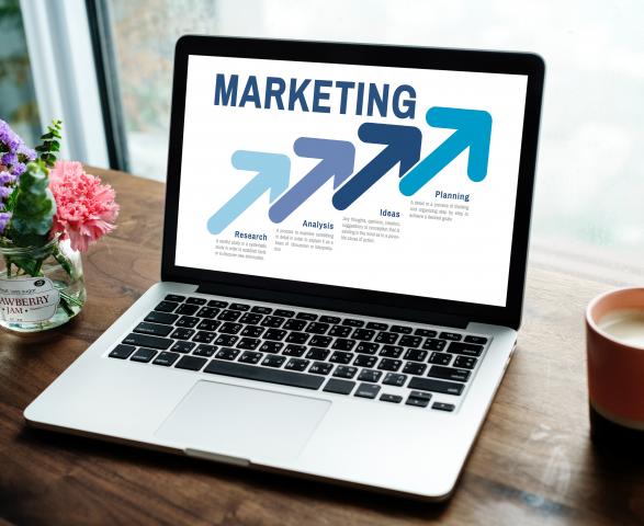 Grow and Improve in the Digital Marketing Field