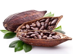 History of Chocolate- Mesoamerica
