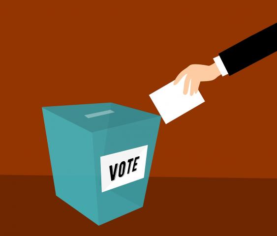 Mock Election