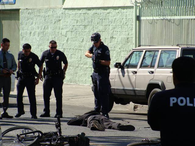 Police Shooting Deaths in 2015 Data