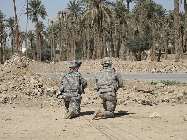 Should the U.S. Have Invaded Iraq in 2003 for the Purpose of Democracy Promotion? (worksheet)