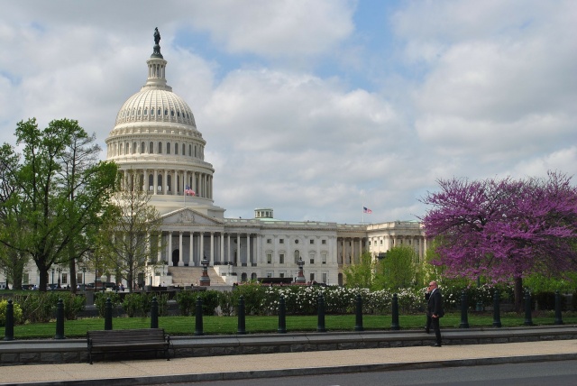 Organization of Federal Government